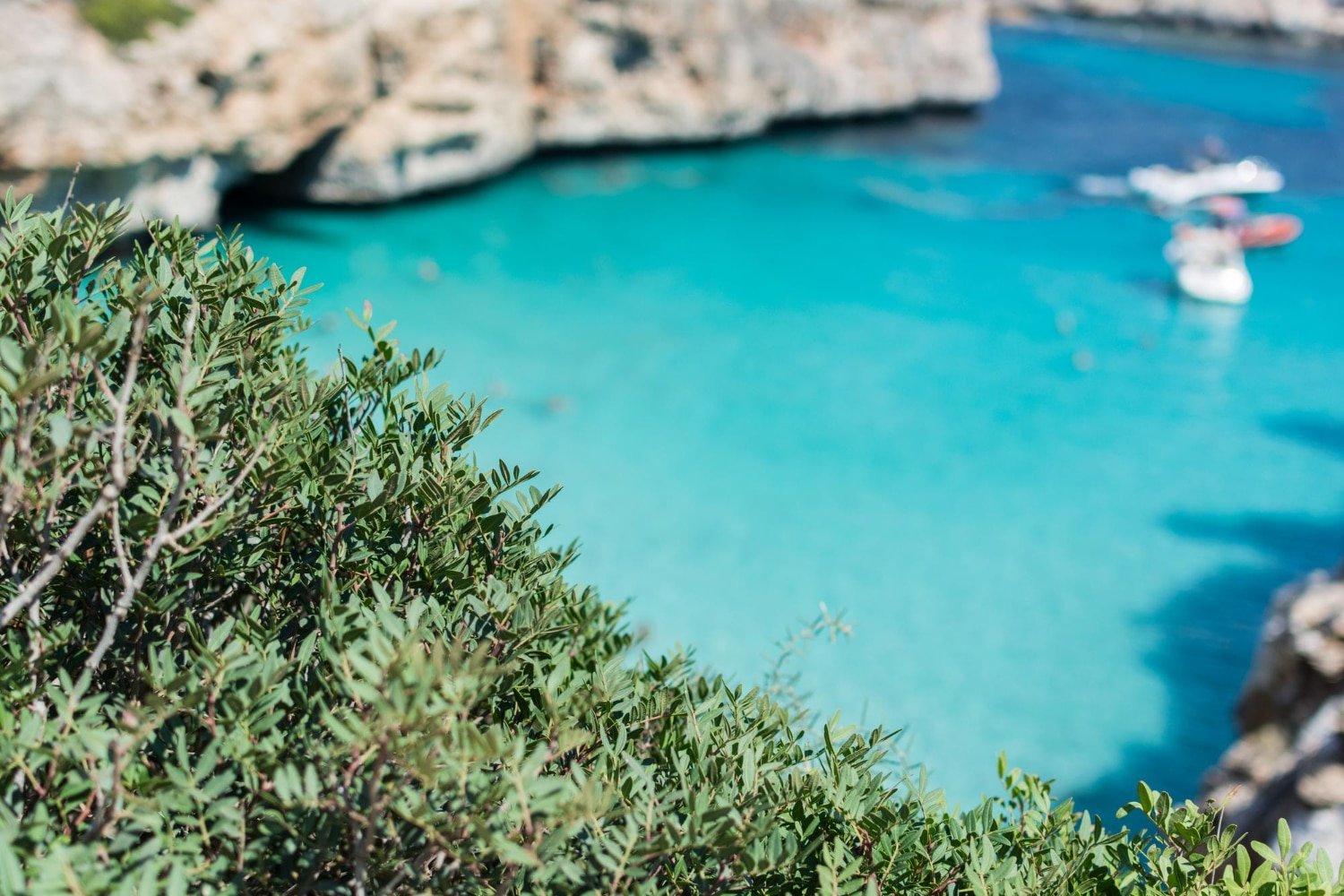 66cc4497b5227 majorque espagne