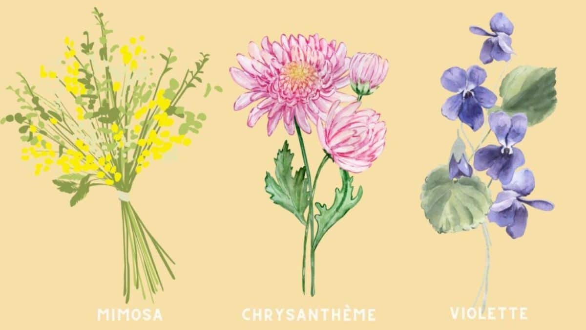 test personnalité fleur