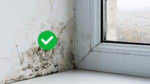 humidité 20241201 143115 0000