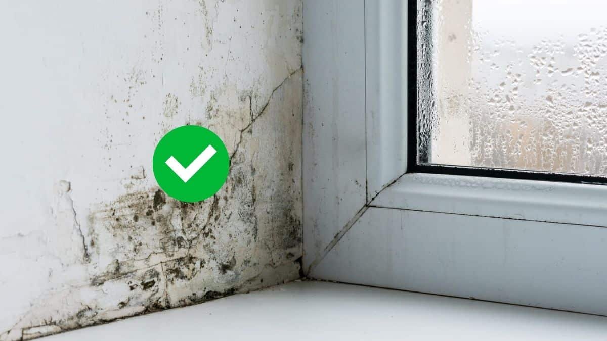 humidité 20241201 143115 0000