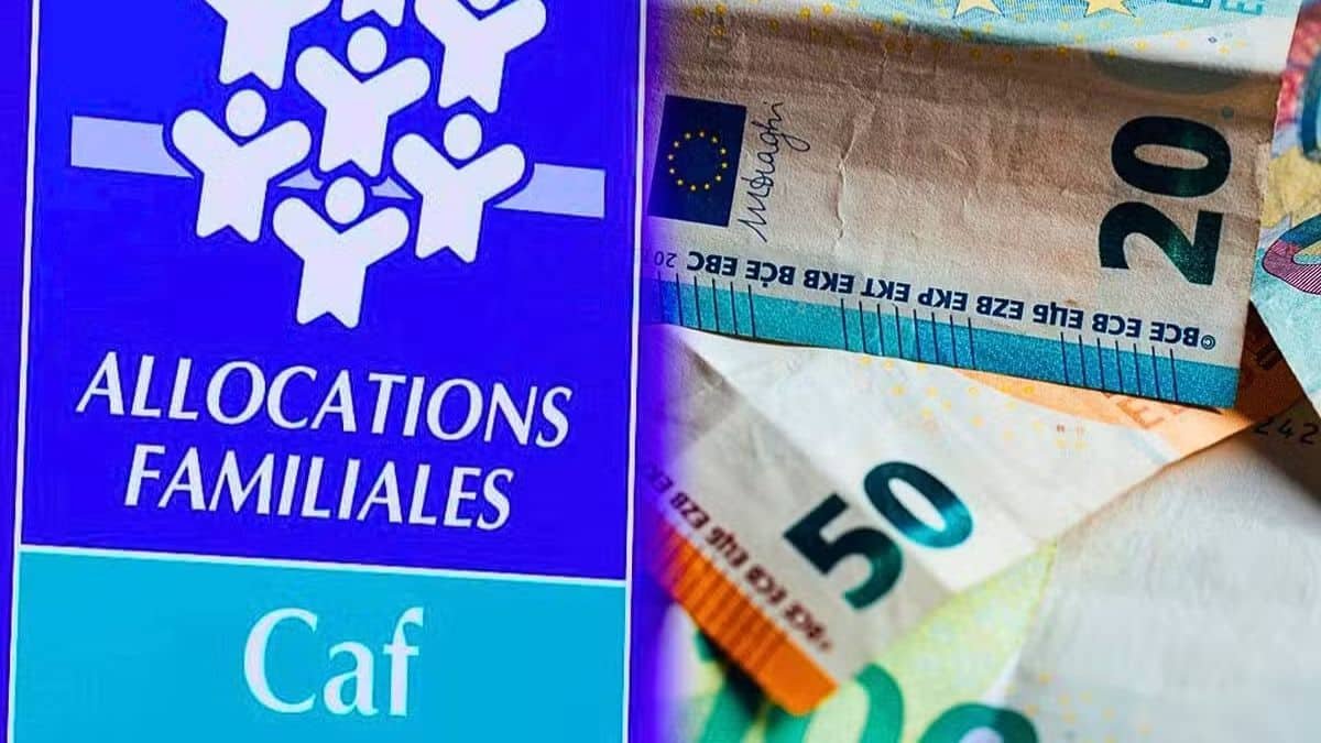 caf cette démarche essentielle à réaliser sous peine de perdre vos allocations définitivement