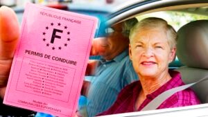 permis de conduire retiré après 65 ans