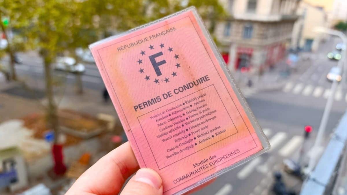 permis rose va disparaitre