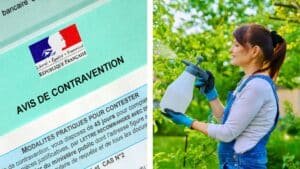 pesticide dans le jardin