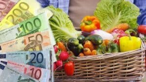 c'est officiel, voici comment récupérer l'allocation alimentaire de 150€ par mois sans condition de revenus