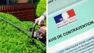 750€ d’amende pour une simple haie cette règle méconnue peut vous coûter très cher