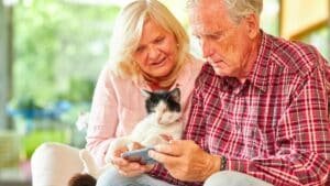 à partir de 70 ans, ces 4 races de chats changent vraiment la vie les vétérinaires expliquent pourquoi