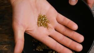 ces 3 objets du quotidien contiennent de l’or pur 22 carats, et ils finissent à la poubelle