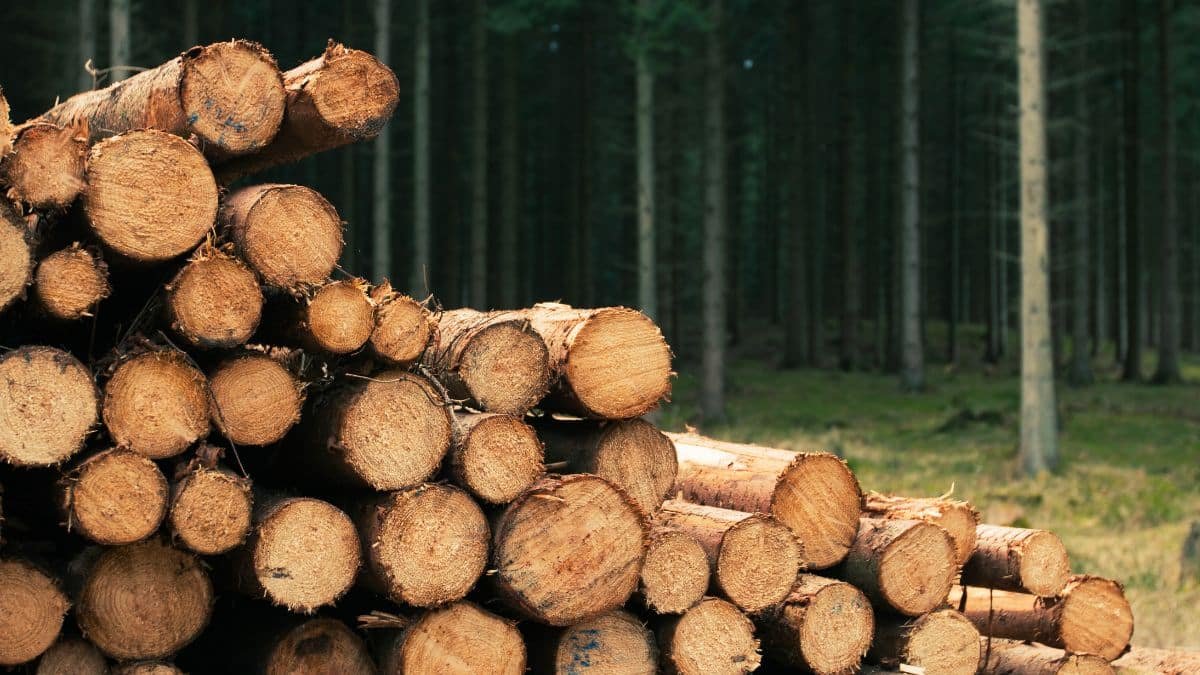 interdiction brutale du chauffage au bois voici ce que des millions de français font à la place