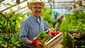 j'ai été agriculteur toute ma vie, à 60 ans voici combien je touche de pension de retraite