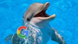 pourquoi google utilise des dauphins pour entraîner une intelligence artificielle la raison va vous laisser sans voix