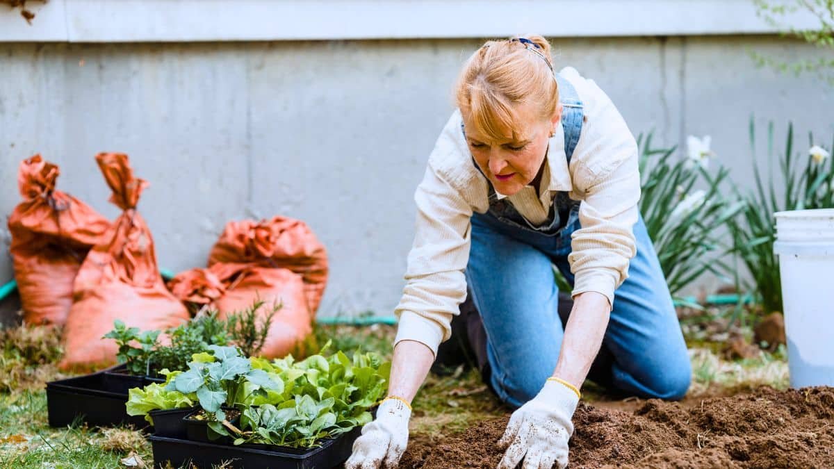 tout le monde le fait dans son jardin  c'est interdit à partir de cette date, gare à la grosse amende